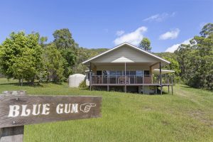 Sherwood Farm - Blue Gum
