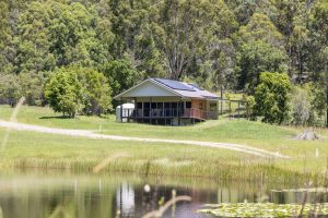 Sherwood Farm - Blue Gum