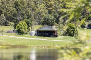 Sherwood Farm - Blue Gum