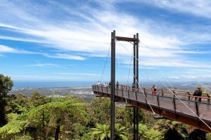 Forest Sky Pier