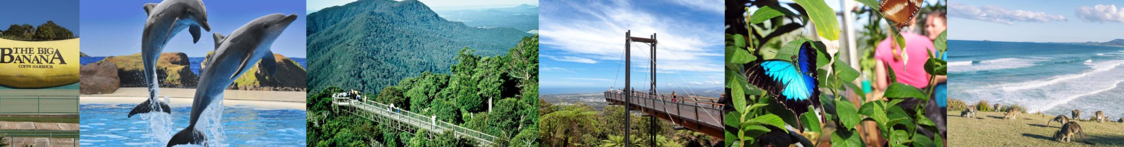 nsw coffs harbour local attractions