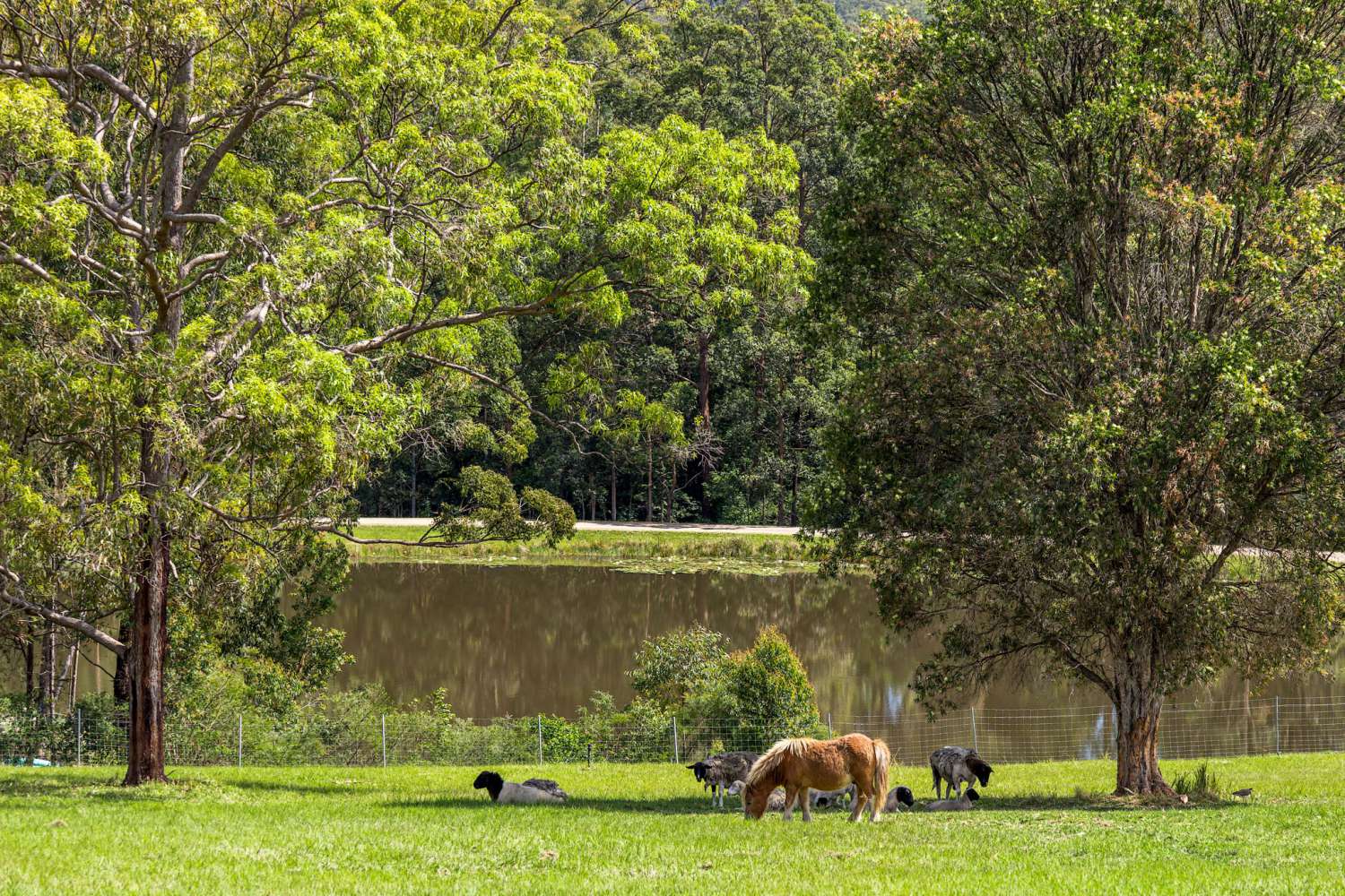 farm-holiday-cottages2