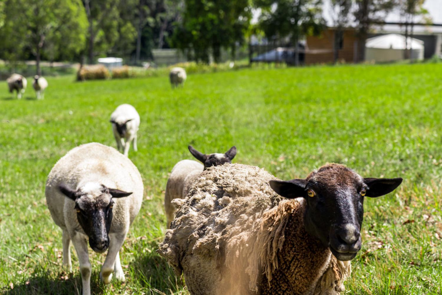 farm-holiday-cottages3