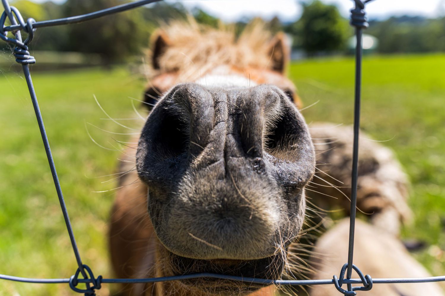 farm-holiday-cottages4