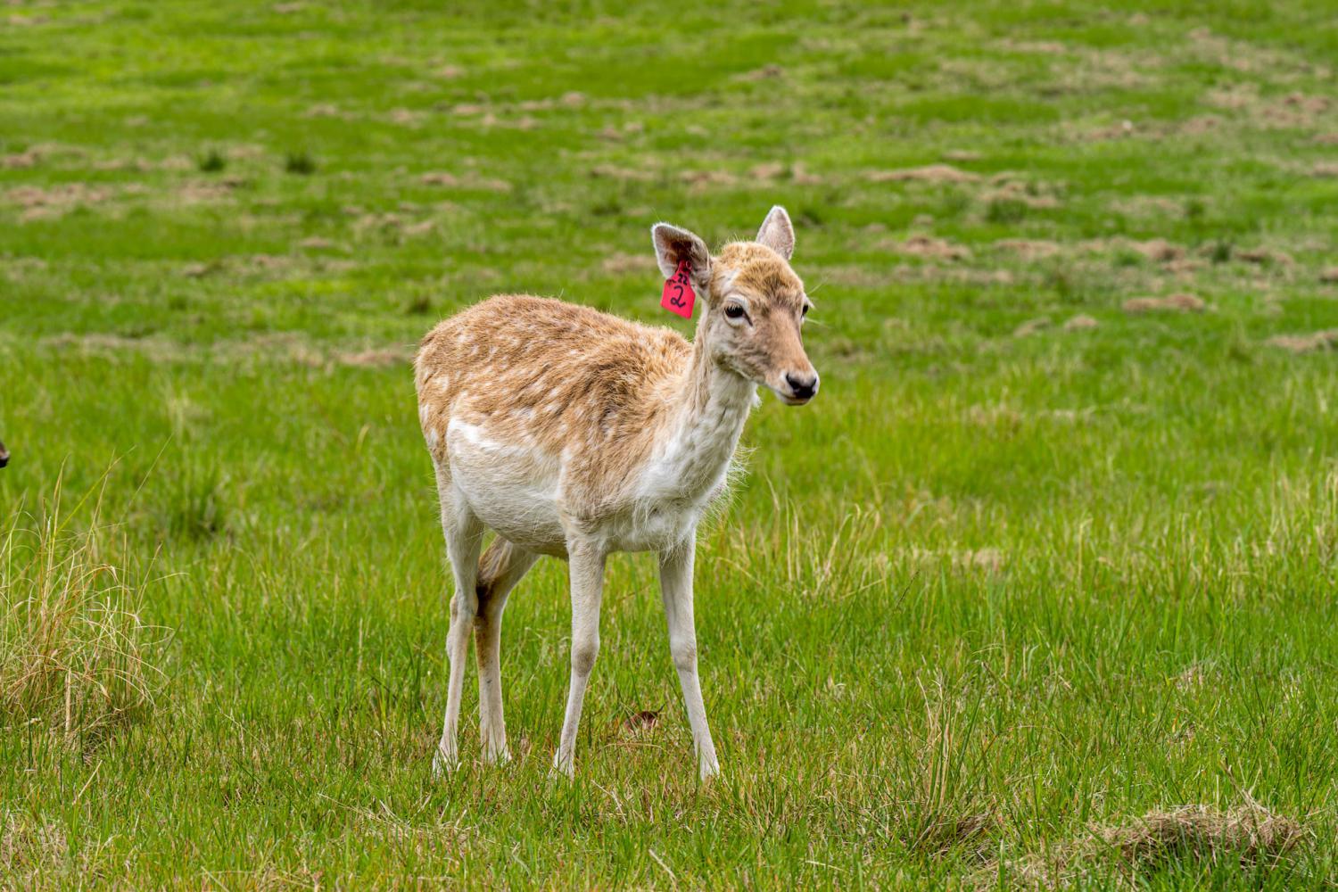 farm-holiday-cottages5