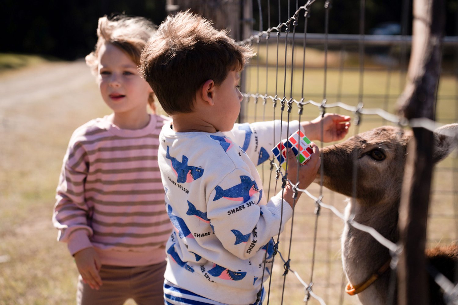 farm-holiday-cottages6